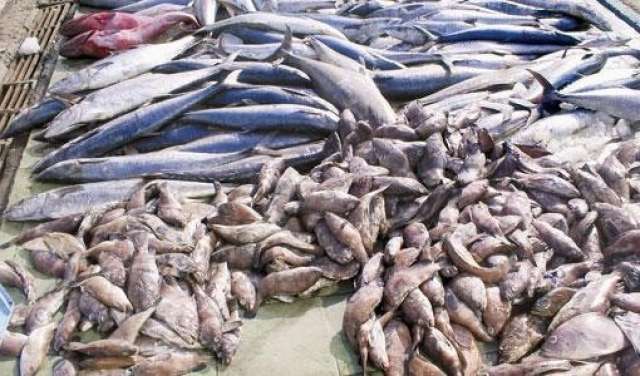 صورة ارشيفية