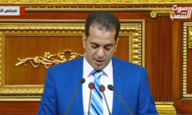النائب علاء سلام