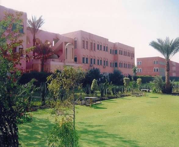 أرشيفية