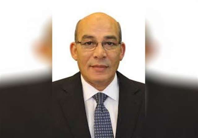 الدكتور عبد المنعم البنا وزير الزراعة