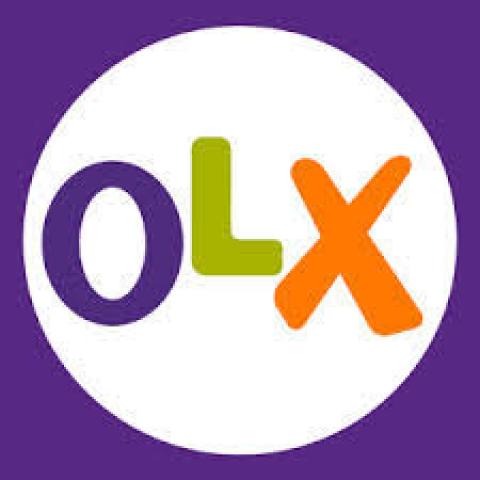 منصة أوليكس تعيد ترتيب مشهد التجارة الإلكترونية في مصر