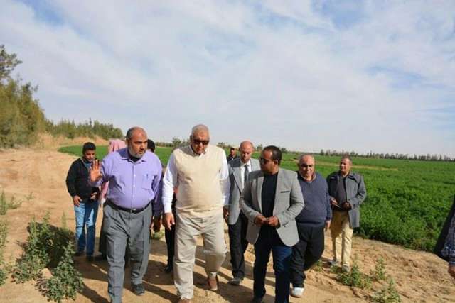 محافظ الوادى الجديديتفقد المشروعات بسهل قروين