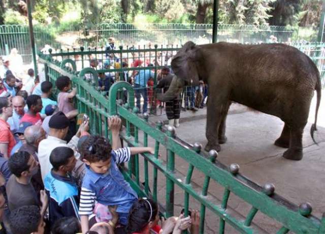 حديقة الحيوان - أرشيفية