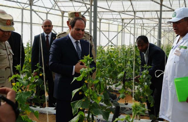 السيسي