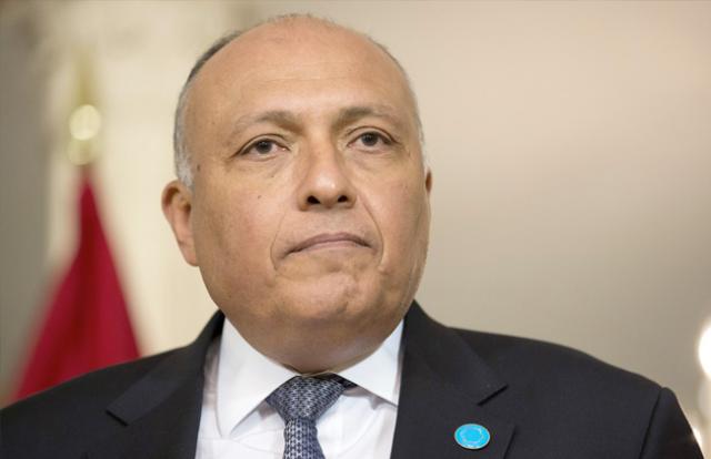 وزير الخارجية سامح شكري