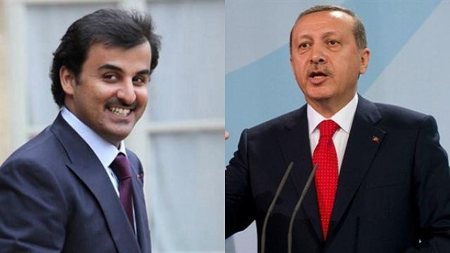أردوغان وتميم