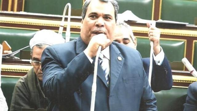 محمد سعيد الدويك عضو مجلس النواب عن محافظة قنا