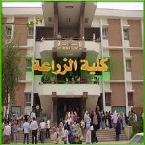  كلية الزراعة بجامعة المنيا