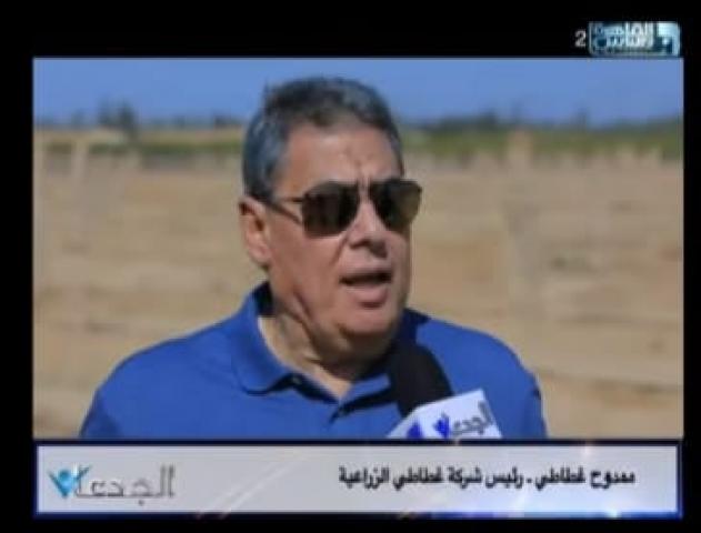 ممدوح غطاطى المستثمر الزراعى