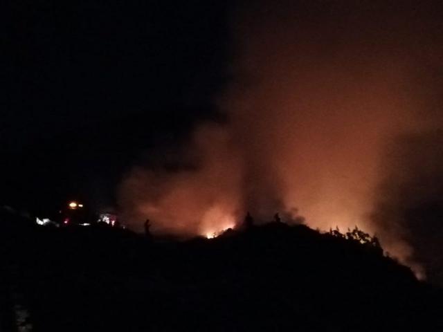أرشيفية