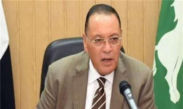 محافظ الشرقية