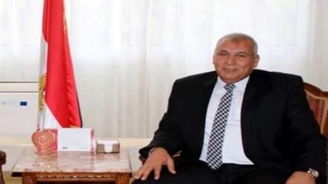 محافظ الوادي الجديد