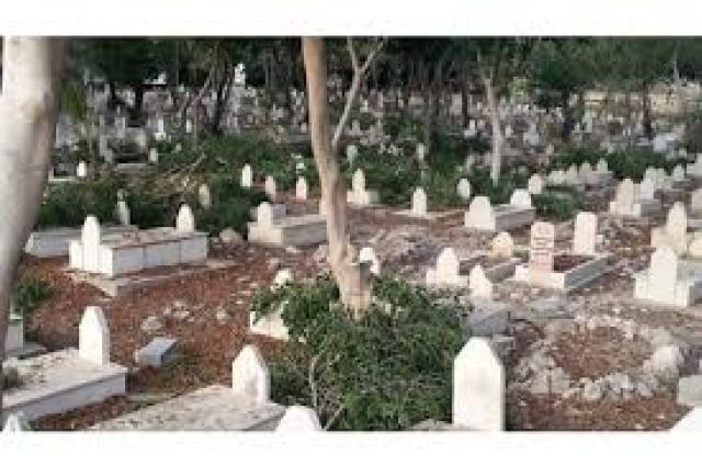 زرع الأشجار بجوار القبور