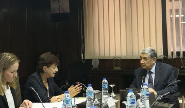 وزير الكهرباء وممثل بنك الاستثمار الأوروبي