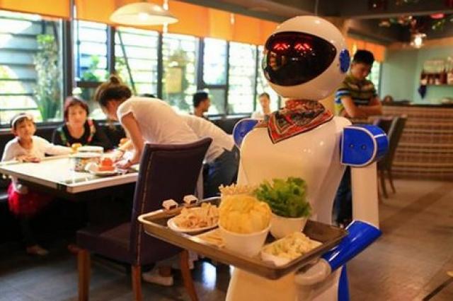 الربوت النادل 