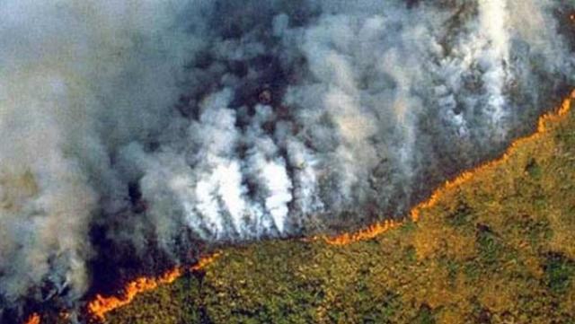 وزير الدفاع البرازيلي: أمريكا لا تقدم مساعدة ملموسة لمكافحة حرائق الأمازون