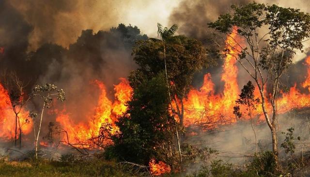 أمريكا تنفي الموافقة على مساعدات طارئة لمكافحة حرائق الأمازون