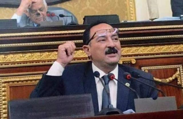 النائب هشام عبد الواحد