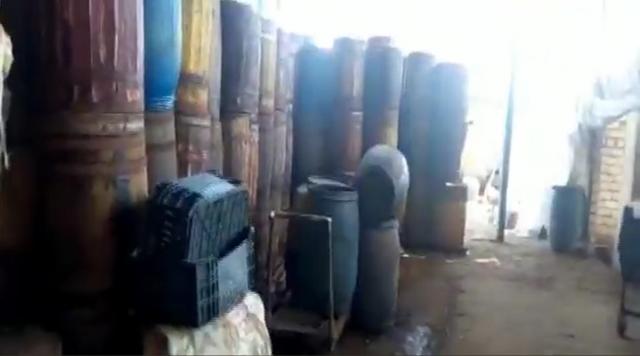 أسماك مملحة غير صالحة للإستهلاك بأحد المحال بكفر الشيخ