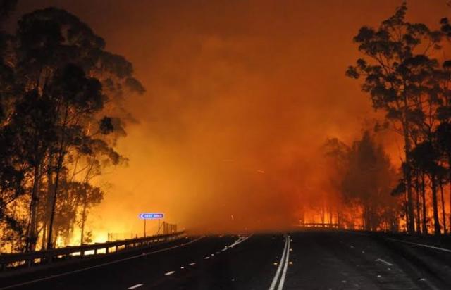 أستراليا.. مصرع شخص وهلاك أكثر من مائة منزل بسبب حرائق الغابات