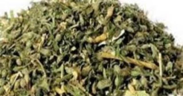 الاستروكس_ أرشيفية