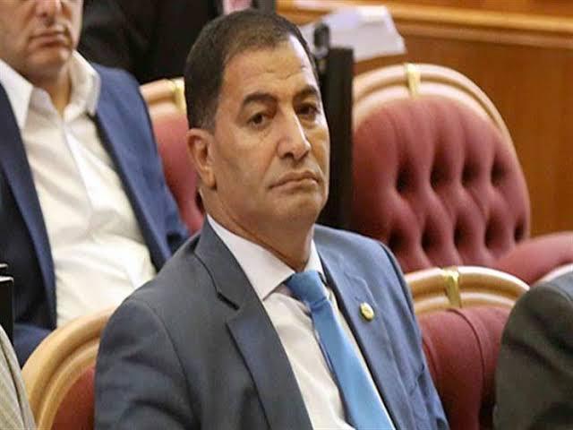 الدكتور البدري ضيف، عضو مجلس النواب