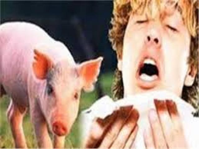 كيفية الوقاية من انفلونزا الخنازير