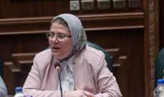 النائبة شيرين فراج