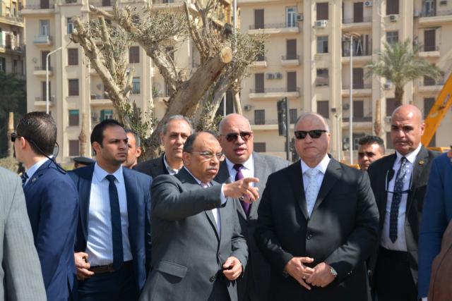 محمود شعراوي