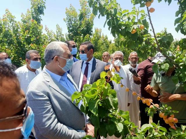 السيد القصير وزير الزراعة