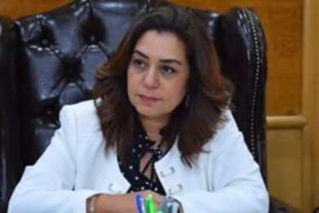 محافظ دمياط