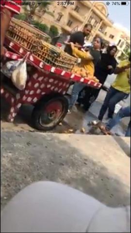 إقالة رئيسة حي التجمع الخامس لاهانتها لبائع عربة التين خلال الفيديو المنتشر
