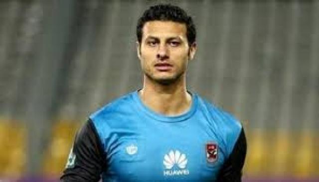 محمد الشناوي