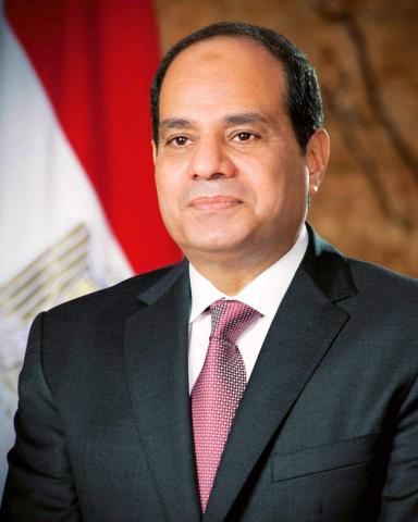 الرئيس عبد الفتاح السيسي رئيس الجمهورية