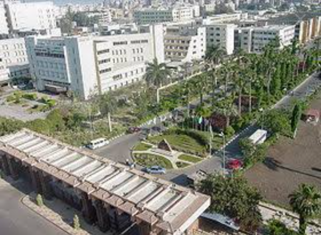 جامعة المنصورة