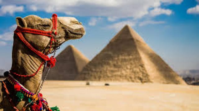 ضربة جديدة تزعج الشركات السياحية