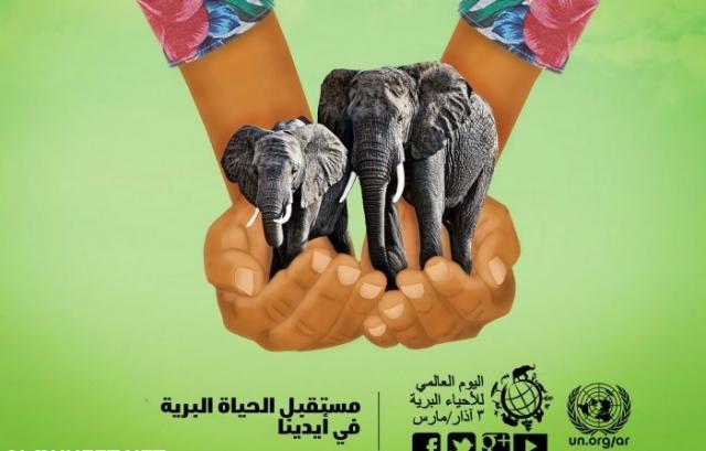 اليوم العالمى للحياة البرية
