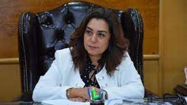 محافظ دمياط
