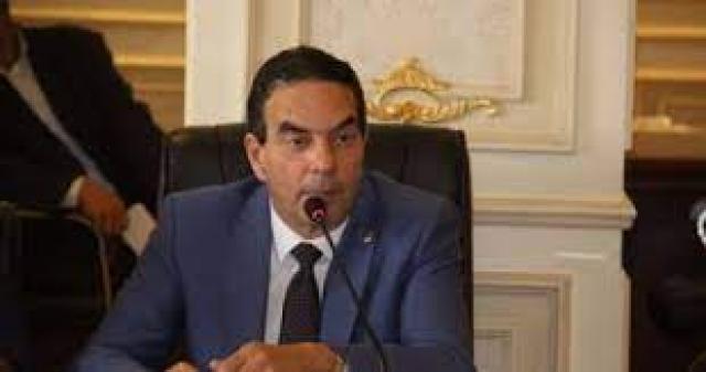 النائب أيمن أبو العلا