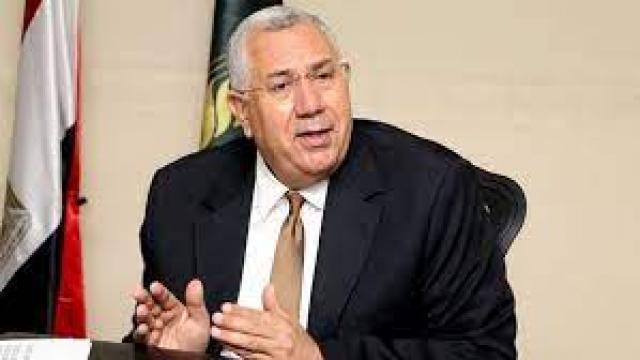 السيد القصير 
