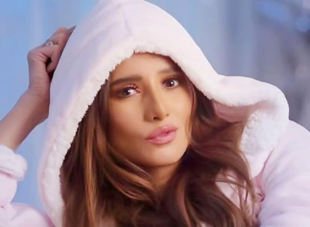 الفنانة زينة