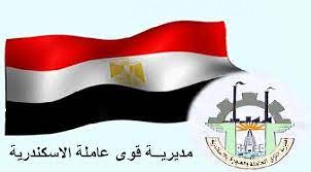مديرية القوي العاملة بالإسكندرية