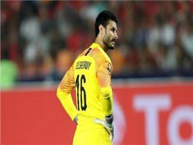 محمد الشناوي