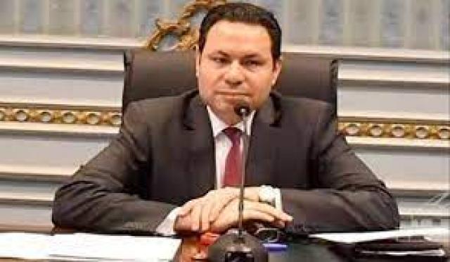  النائب هشام الحصرى