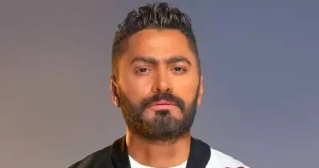 تامر حسنى
