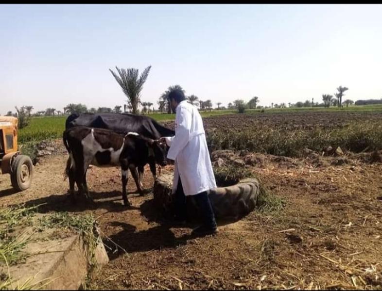 ‫”الزراعة” تحذر من التعامل مع شركات وهمية وصفحات مجهولة لبيع أراض زراعية