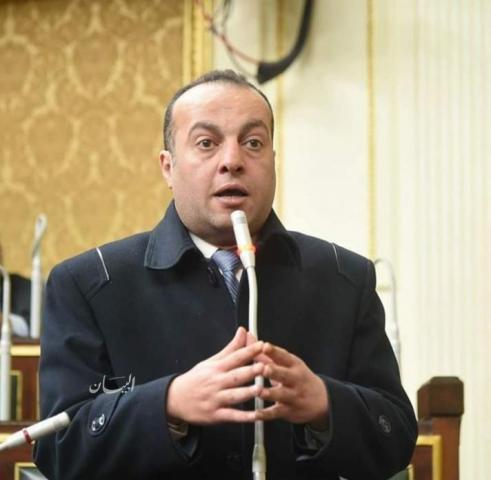 النائب خالد عبد المولي
