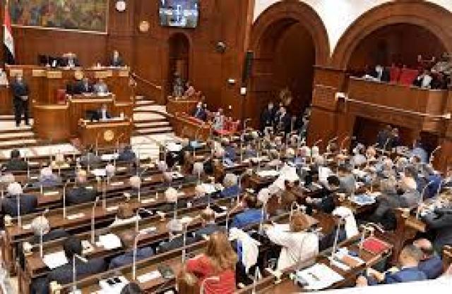 الجلسة العامة لمجلس الشيوخ