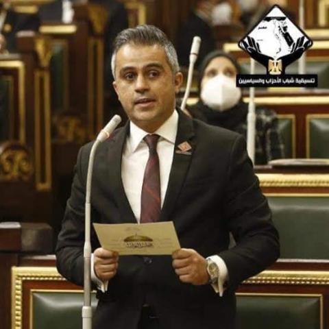 النائب أحمد فتحي 