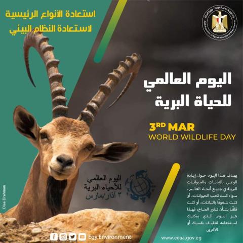 مصر تشارك العالم بالاحتفال باليوم العالمي بالحياة البرية